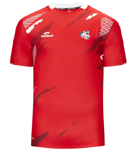 Maillot FENSIF + Logo club